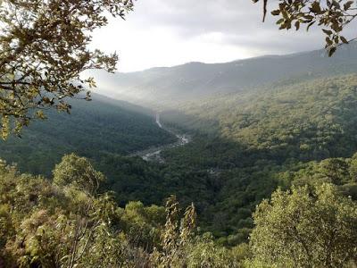 Parques Naturales de Andalucía