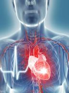 Los 5 padecimientos más frecuentes durante el invierno que-es-un-paro-cardiaco-o-muerte-subita