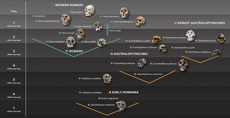 ¿Fobia a los árboles en paleoantropología? ¿Fobia a los árboles en paleoantropología?