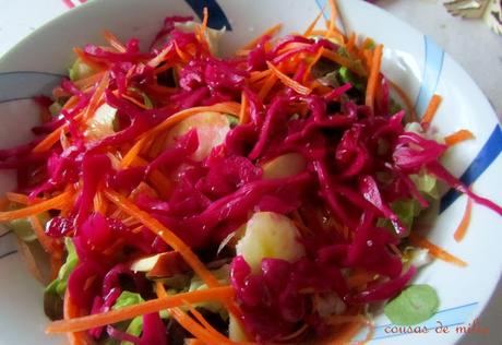 Lombarda encurtida Lombarda encurtida