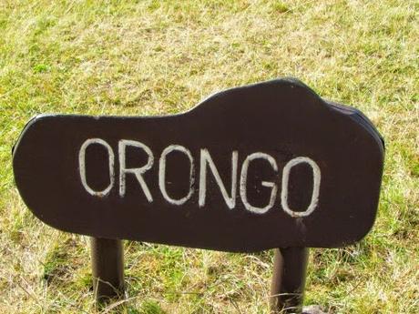 Ritual del Tangata Manu. Orongo. Rapa Nui Ritual del Tangata Manu. Orongo. Rapa Nui