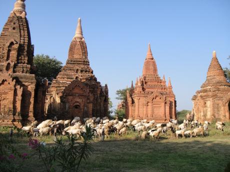 Templos en Bagán (Myanmar). Crédito: Natalia Ruiz.