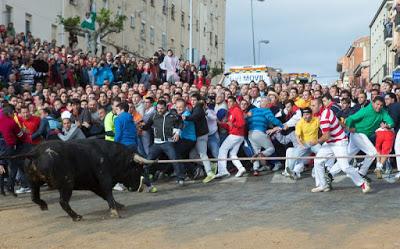 TRADICIONES Y FESTEJOS POPULARES CON ANIMALES.