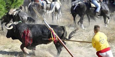 TRADICIONES Y FESTEJOS POPULARES CON ANIMALES.