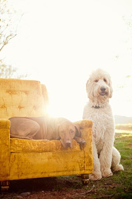 ►Por el Camino◄ Preboda ►Por el Camino◄ Preboda