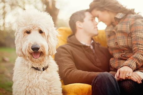 ►Por el Camino◄ Preboda ►Por el Camino◄ Preboda