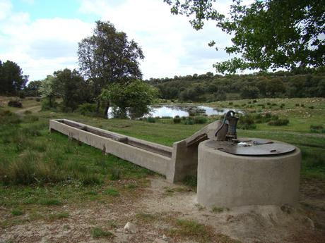 Ruta de la Trashumancia en Toledo