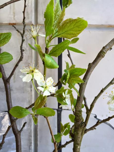 CENTROS FLORALES CON ELEMENTOS SENCILLOS...