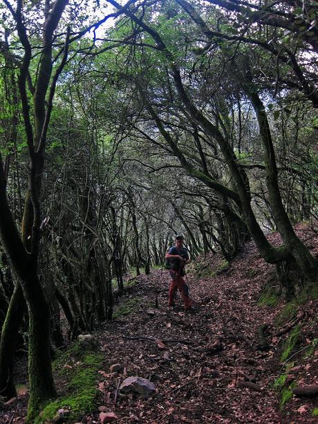 LA FORCADA Y CUETO MAR POR LA SENDA LA CRUZ