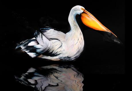 Gesine Marwedel: maestra del body painting