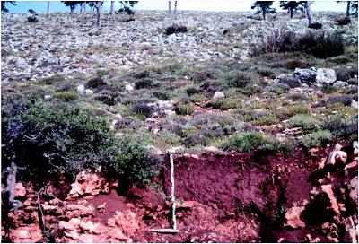 Suelos, ¿cuántos tipos existen? Suelos, ¿cuántos tipos existen?