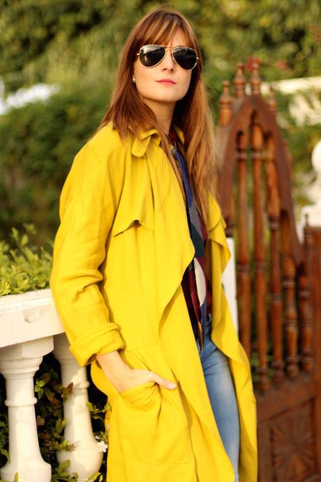 Mustard and Burgundy Mustard and Burgundy