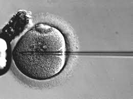 10 mitos sobre fertilidad: ¿Tengo los óvulos contados? 10 mitos sobre fertilidad: ¿Tengo los óvulos contados?