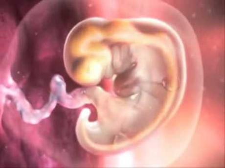 10 mitos sobre fertilidad: ¿Tengo los óvulos contados? 10 mitos sobre fertilidad: ¿Tengo los óvulos contados?