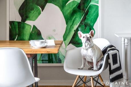 casa-blogger-estilo-hollywood-chic-clasico-renovado-superstudio Silla DSW de Charles & Ray Eames en Superestudio.com