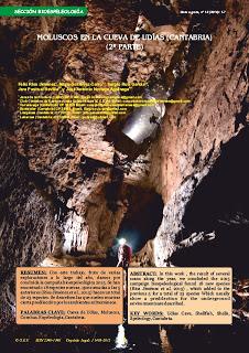 Moluscos en la Cueva de Udías (Cantabria, España)