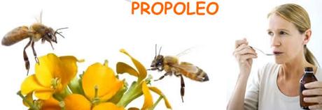 Cuales son las propiedades del propóleo??? - What are the properties of propolis ??? Cuales son las propiedades del propóleo??? - What are the properties of propolis ???