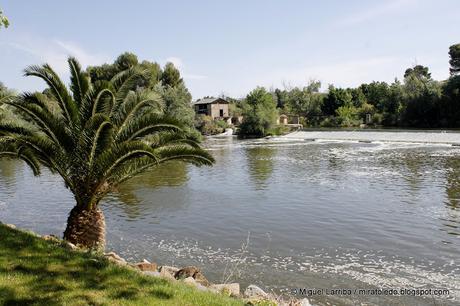 Rio Tajo, retarda tu paso Rio Tajo, retarda tu paso