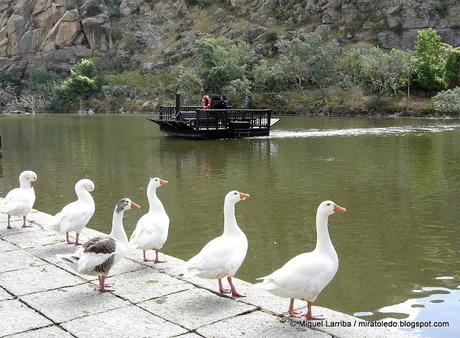 Rio Tajo, retarda tu paso Rio Tajo, retarda tu paso
