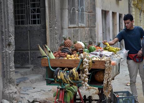 Los “llamamientos” no sirven para producir malanga malanga cuba