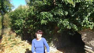 Rutas en familia: Hoy, Nigüelas-Acequias Rutas en familia: Hoy, Nigüelas-Acequias