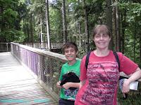 Un paseo entre las copas de los árboles en Alemania Un paseo entre las copas de los árboles en Alemania