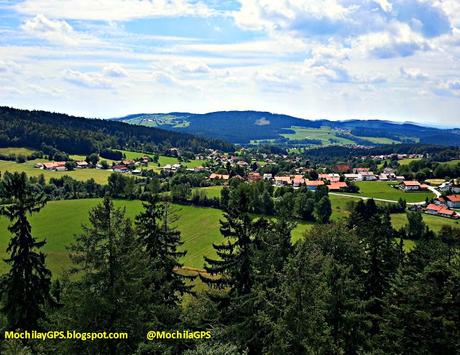 Un paseo entre las copas de los árboles en Alemania Un paseo entre las copas de los árboles en Alemania