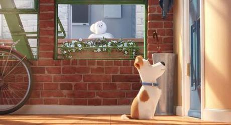 Mira el nuevo tráiler de la cinta animada The Secret Life Of Pets