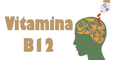 La Vitamina B12 La Vitamina B12