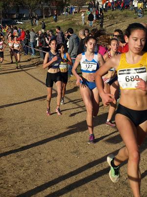 40ª Cros a Ripollet. Gran Premi Catala de Cross 40ª Cros a Ripollet. Gran Premi Catala de Cross