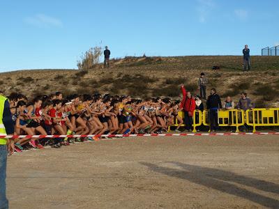 40ª Cros a Ripollet. Gran Premi Catala de Cross 40ª Cros a Ripollet. Gran Premi Catala de Cross