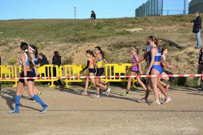 40ª Cros a Ripollet. Gran Premi Catala de Cross 40ª Cros a Ripollet. Gran Premi Catala de Cross