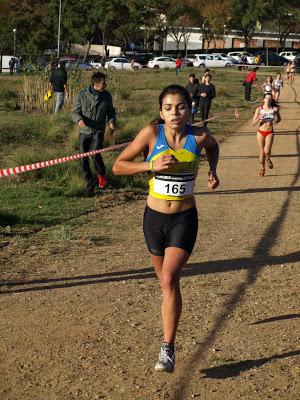 40ª Cros a Ripollet. Gran Premi Catala de Cross 40ª Cros a Ripollet. Gran Premi Catala de Cross