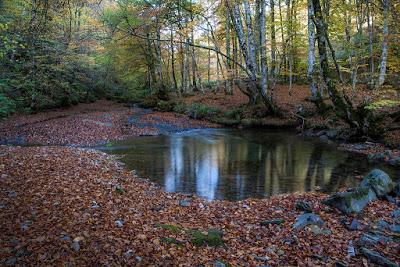 Arde Cantabria