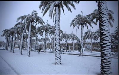 Arabia Saudí registra su primera nevada en 85 años