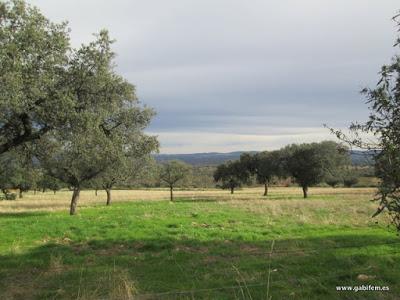 Por la Sierra de Hornachos Por la Sierra de Hornachos