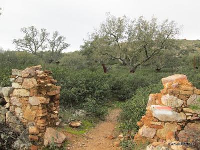 Por la Sierra de Hornachos Por la Sierra de Hornachos