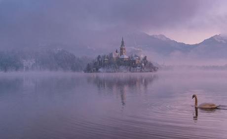 lago bled en invierno