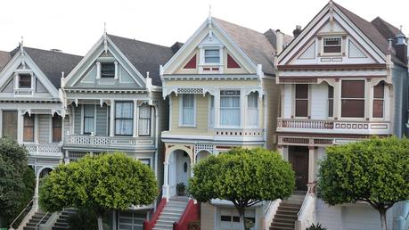 Painted Ladies