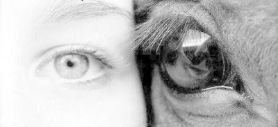 LA CONCIENCIA ANIMAL ES RECONOCIDA POR COMUNIDAD CIENTÍFICA LA CONCIENCIA ANIMAL ES RECONOCIDA POR COMUNIDAD CIENTÍFICA