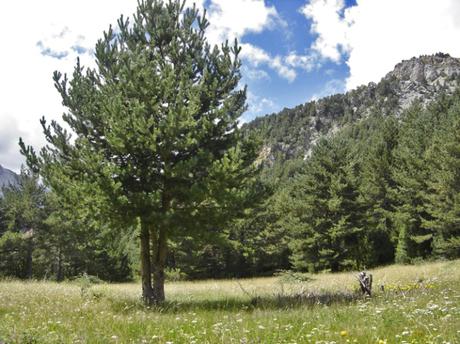 Sierra de Espierba