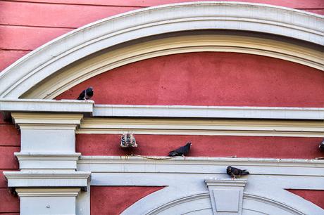 Tres Palomas quietas en forma escalonada entre rectas y curvas