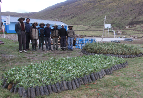 Protección de pastos en comunidades de Chumbivilcas pastos-chumbivilcas-1