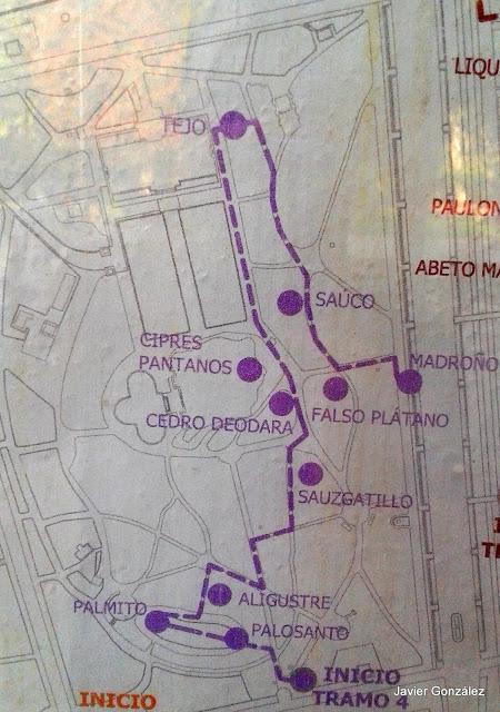 Parque del Retiro de Madrid. Itinerario 4. El Campo Grande. Parque del Retiro de Madrid. Itinerario 4. El Campo Grande.