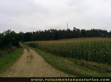 Ruta Das Minas PR AS-182: inmediaciones de la cima del monte Arbedosa