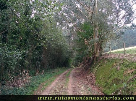 Ruta Das Minas PR AS-182: Subiendo por pista a la Mina