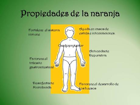 ¿En qué situaciones resulta favorable el consumo de naranjas? Propiedades-de-la-naranja1
