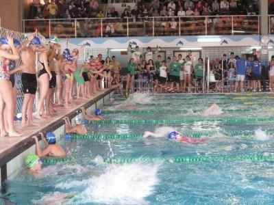 XXXIII Campeonato de Natación Ciudad de Dos Hermanas