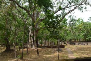 Ruinas en Anuradhapura