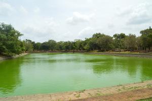 La piscina de los elefantes